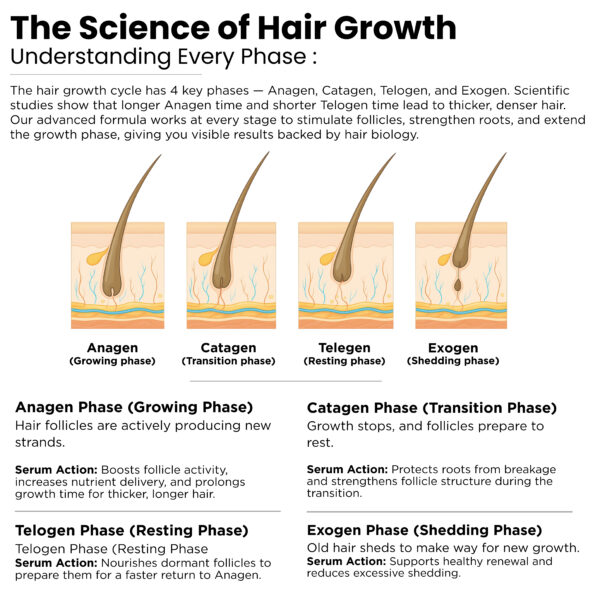 European Rosemary Hair Growth Serum 30ml - Image 5