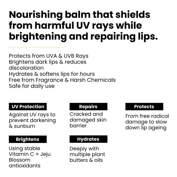 SPF 30++ Korean Brightening Lip Balm Chap Stick 4g - Image 7